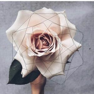 Meet your Posher, Paloma